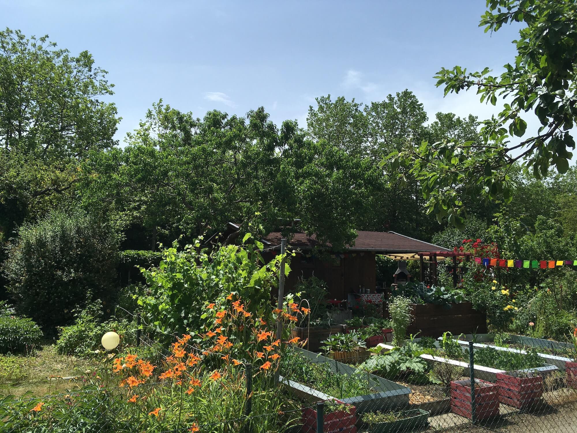 Mein Garten, Schiller und ich Martina Pahr